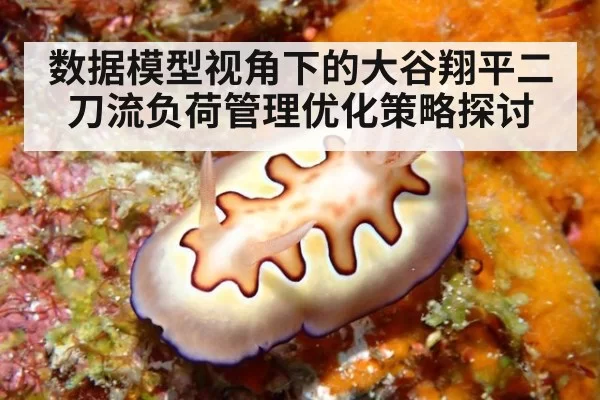 数据模型视角下的大谷翔平二刀流负荷管理优化策略探讨