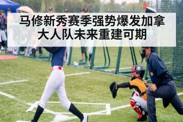 马修新秀赛季强势爆发加拿大人队未来重建可期