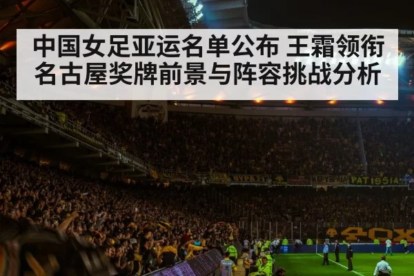 soccer stadium match atmosphere